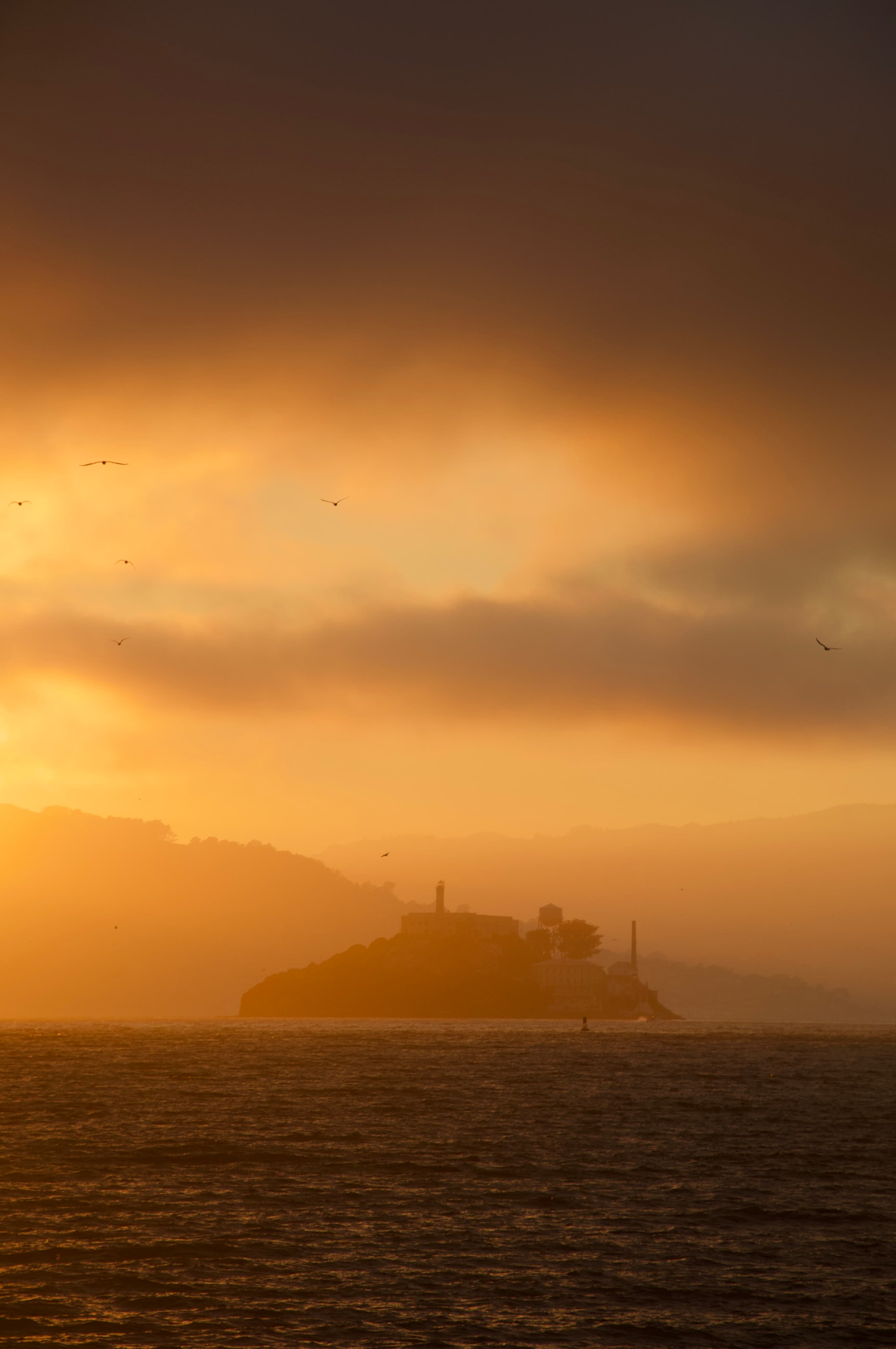 moments — 01D4380E-167B-4A4E-8D24-32D48E1CE902_1_201_a.jpeg